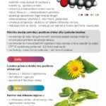 Alpha Complex krema za ublažavanje grčeva u mišićima i poboljšanje periferne cirkulacije 50ml