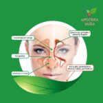 Sinulan Duo Forte za olakšano disanje 15 tableta