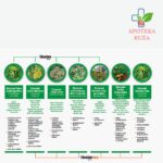 Sinulan Forte za olakšano disanje 15 tableta