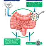 Colonir za nervozna creva 15 tableta
