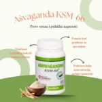 Ašvaganda KSM-66 protiv stresa i psihičke napetosti Anafarm 60 kapsula