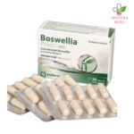 Boswellia Premium protiv bolova u kostima i zglobovima 30 kapsula