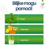 Enterofytol protiv gasova i nadutosti 60 kapsula