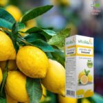 Etarsko ulje limun 10ml