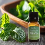 Etarsko ulje menta (nana) 10ml