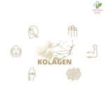 Gaia riblji kolagen za lepotu 500ml