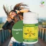 Kantarion kapsule za smirenje i protiv psihičke napetosti 60 kapsula