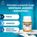 Lavlja griva Premium Anafarm 60 kapsula