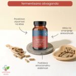 Terranova Fermentisana ašvaganda 50 kapsula