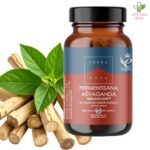 Terranova Fermentisana ašvaganda 50 kapsula