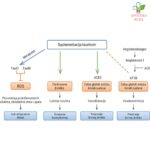 Bioplus za zdravo srce 30 kapsula