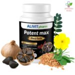 Black Garlic Potent Max 90 kapsula