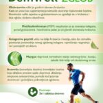 Dr Theiss Beinwell 90 tableta za jačanje kostiju i zglovova + Gavez gel 30ml GRATIS