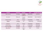 Dr Theiss Fem Vital Duo 28 dnevnih tableta + 28 noćnih tableta