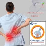 Galacapsicum – Antireumatski flasteri 2 komada