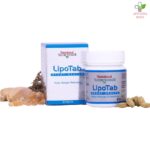 Lipotab za regulisanje holesterola i triglicerida 60 tableta