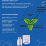 Neubria Memory za bolju memoriju 60 kapsula