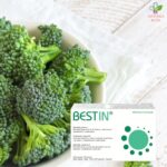 Bestin za zdravu prostatu 30 kapsula