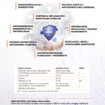 Kaltex Betanex prašak (15-30 doza)