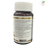 Ganoderma Lucidum ulje iz spora 60 kapsula