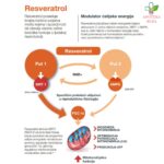 Genante za mušku i žensku plodnoost 30 tableta