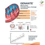 Genante za mušku i žensku plodnoost 30 tableta