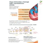 Genante za mušku i žensku plodnoost 30 tableta