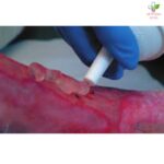 Intrasite gel za rane 15g