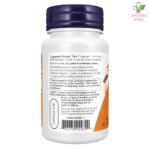 NOW Acidophilus 8 Billion & Bifidus 60 kapsula