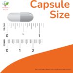 NOW Astragalus za imunitet 500mg 100 kapsula