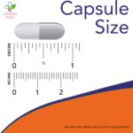 NOW L-Tyrosine 500mg 120 kapsula