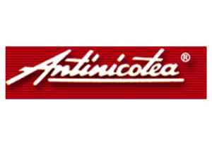 Antinicotea